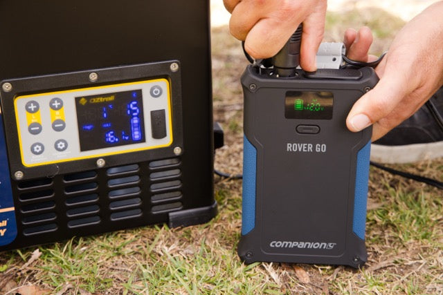 COMPANION Rover Go