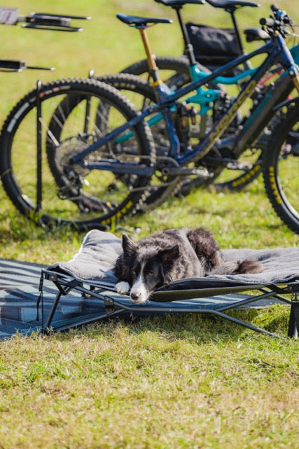 OZTRAIL Dog Bed & Fleece Topper