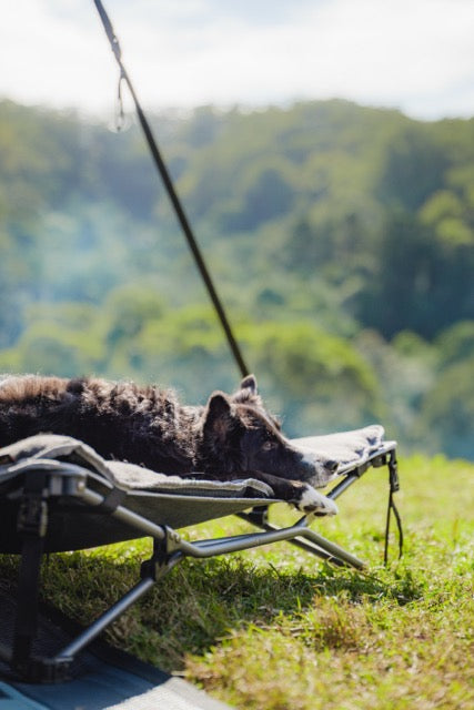 OZTRAIL Dog Bed & Fleece Topper