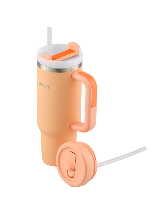 AVANTI HydroQuench Insulated Tumbler with Two Lids 1L
