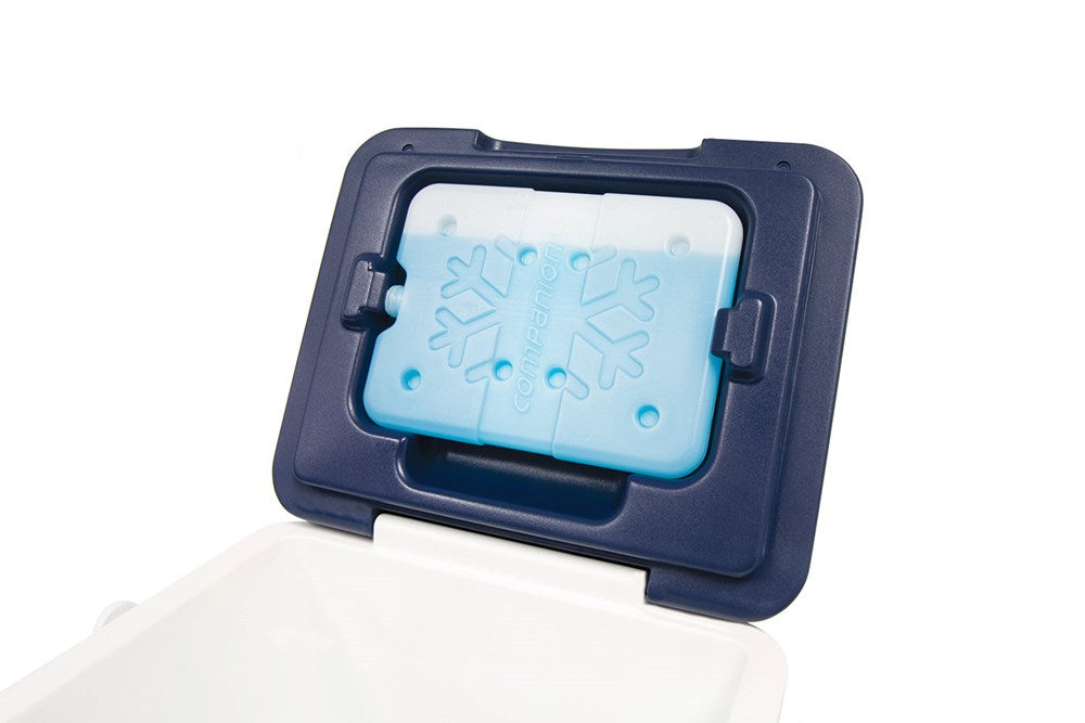 COMPANION Hard Cooler 7L
