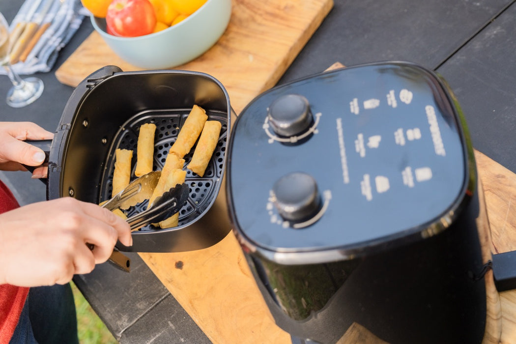 COMPANION Roam 12V Air Fryer 4L