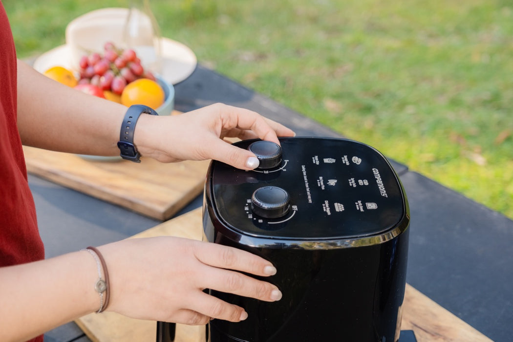 COMPANION Roam 12V Air Fryer 4L