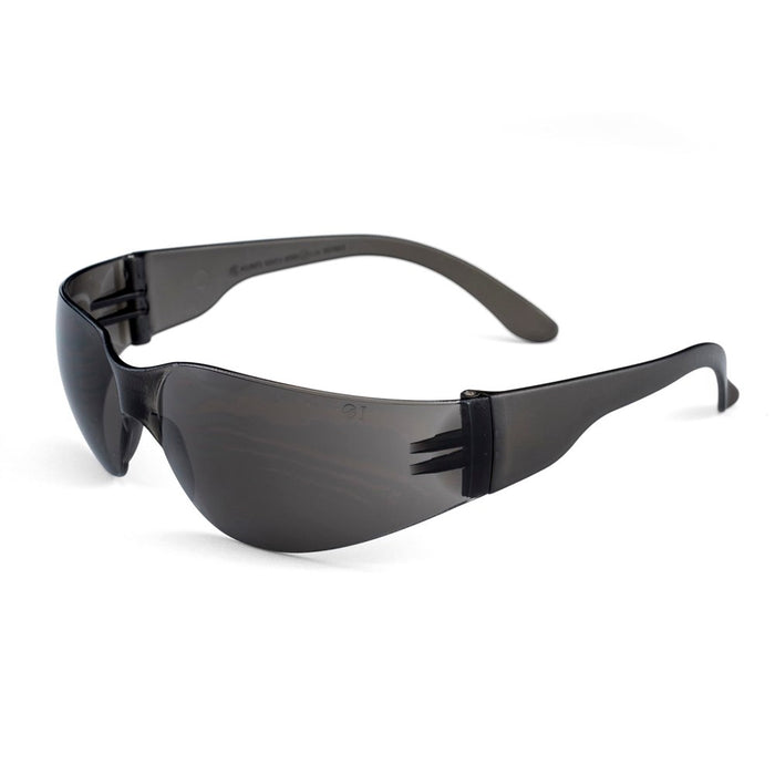 DNC Vulture Safety Glasses