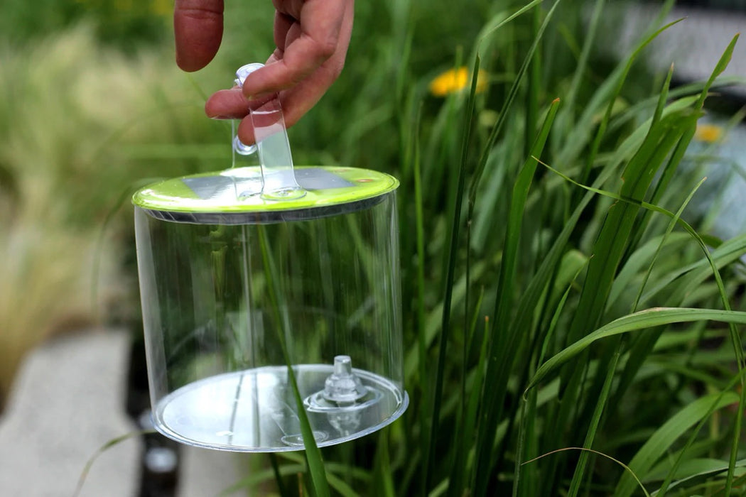 LUCI LUX Outdoor 2.0 Lantern