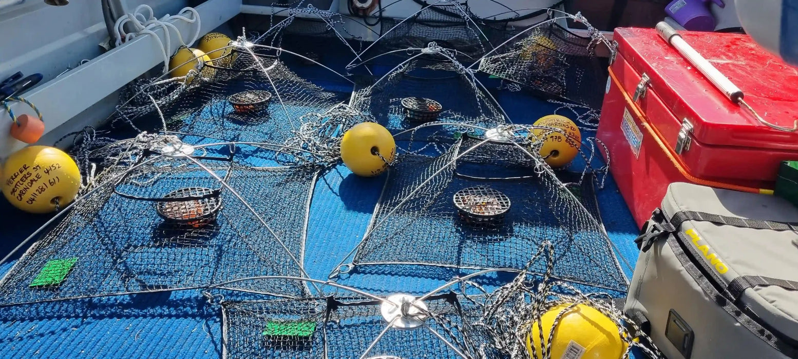 CRAB'N GEAR Quickset Pyramid Yabbie Trap